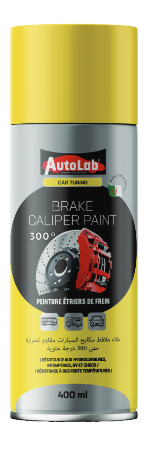 Brake Caliper Paint
